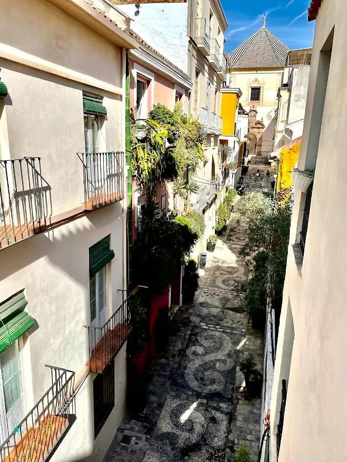 Paloma Suite Solarium Centro Historico Málaga Espanha