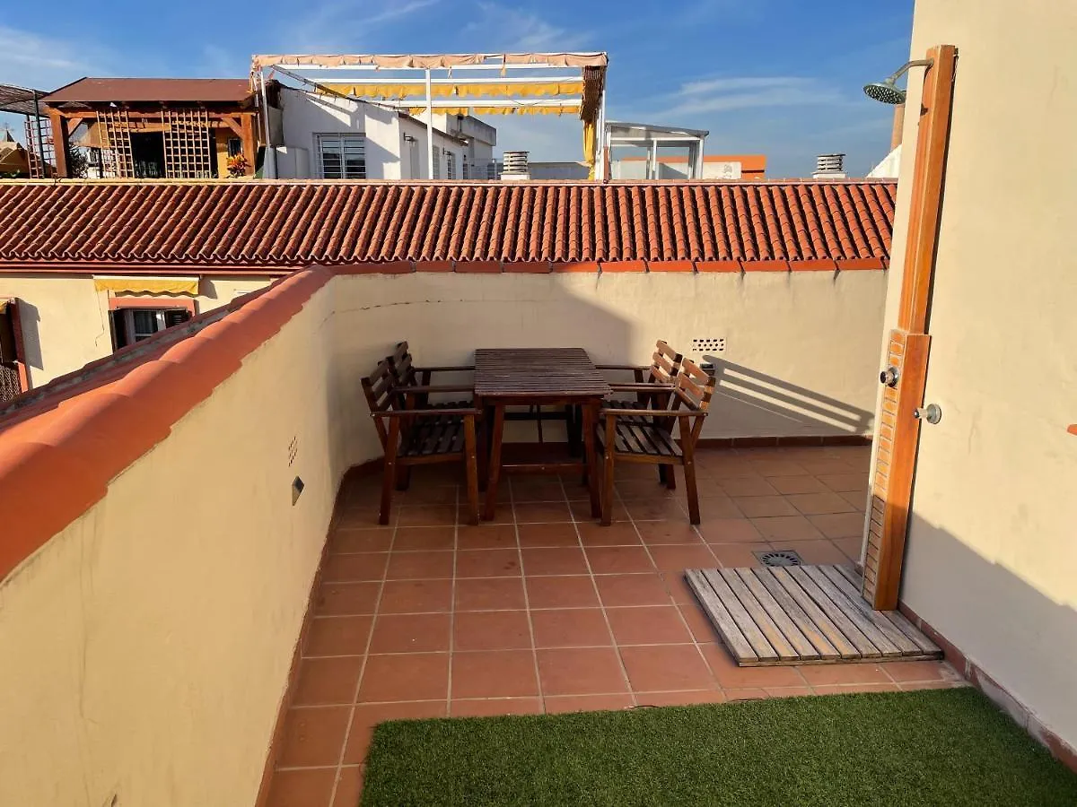 Paloma Suite Solarium Centro Historico Malaga Apartment